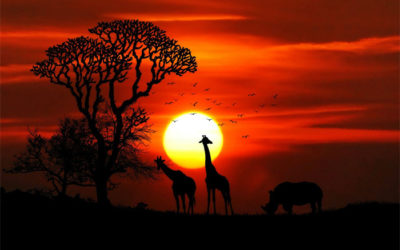 Life Is A Journey