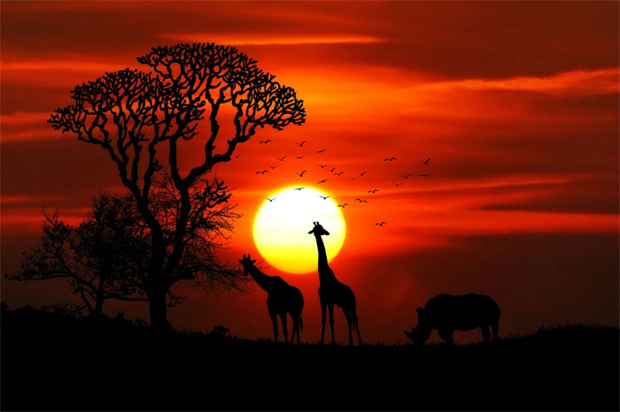 Life Is A Journey