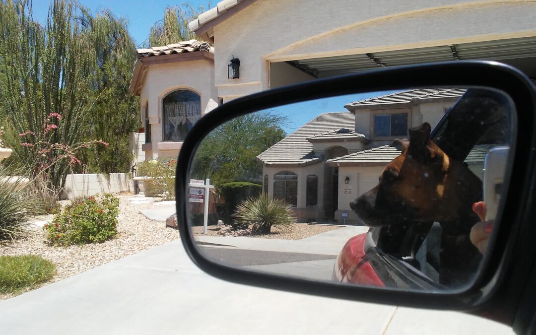 Rear View Mirror